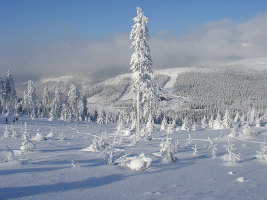 Jeseniky Mountain Ski Resort Cervenohorske sedlo