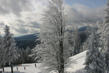Zelezna Ruda Ski Resort
